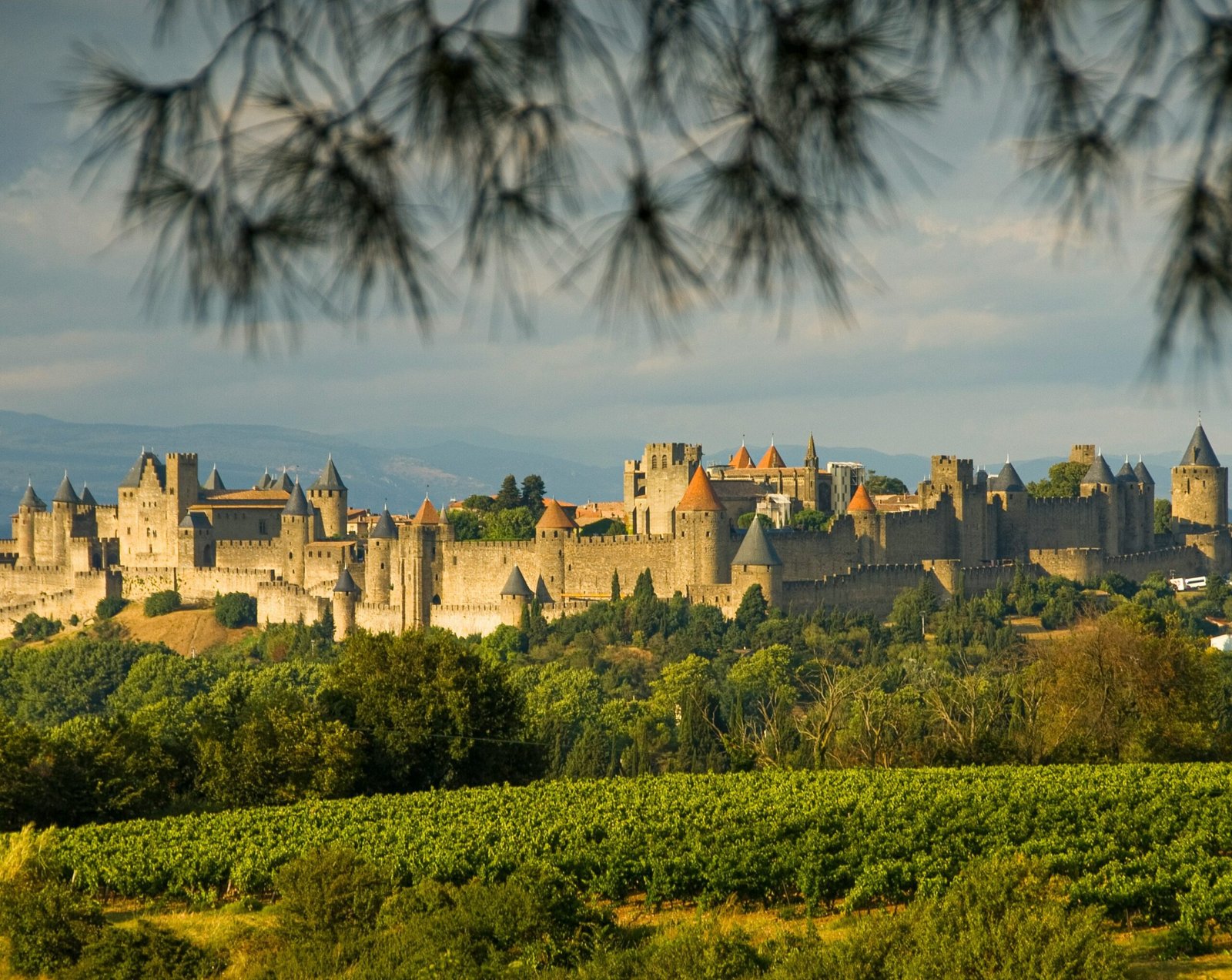 Carcassonne y la leyenda del catarismo: historia y misterios de la Cité Médiévale