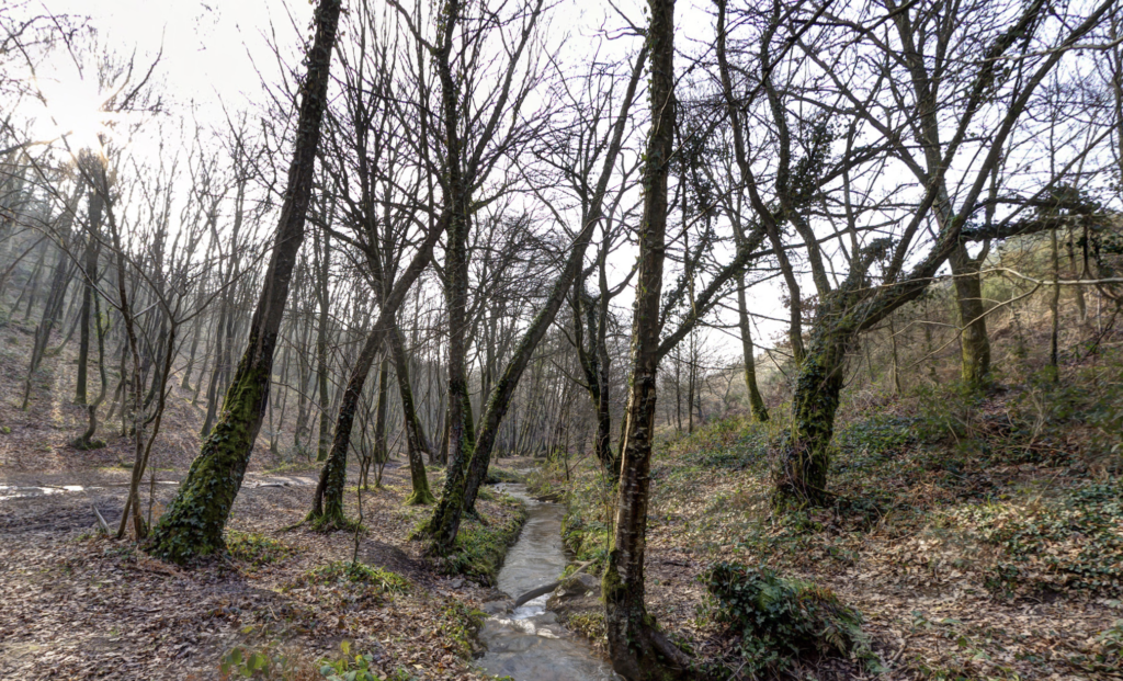 Val sans retour, en Brocéliande