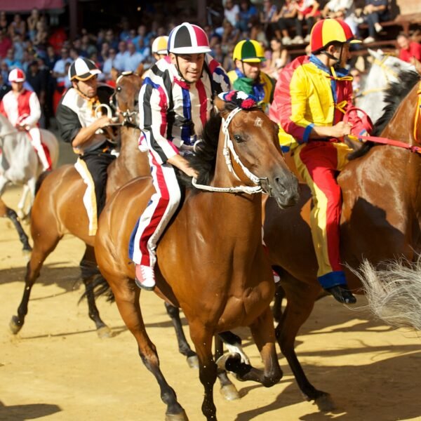 Caballos de las contrade del Istrice y la Chiocciola durante el Palio de Siena