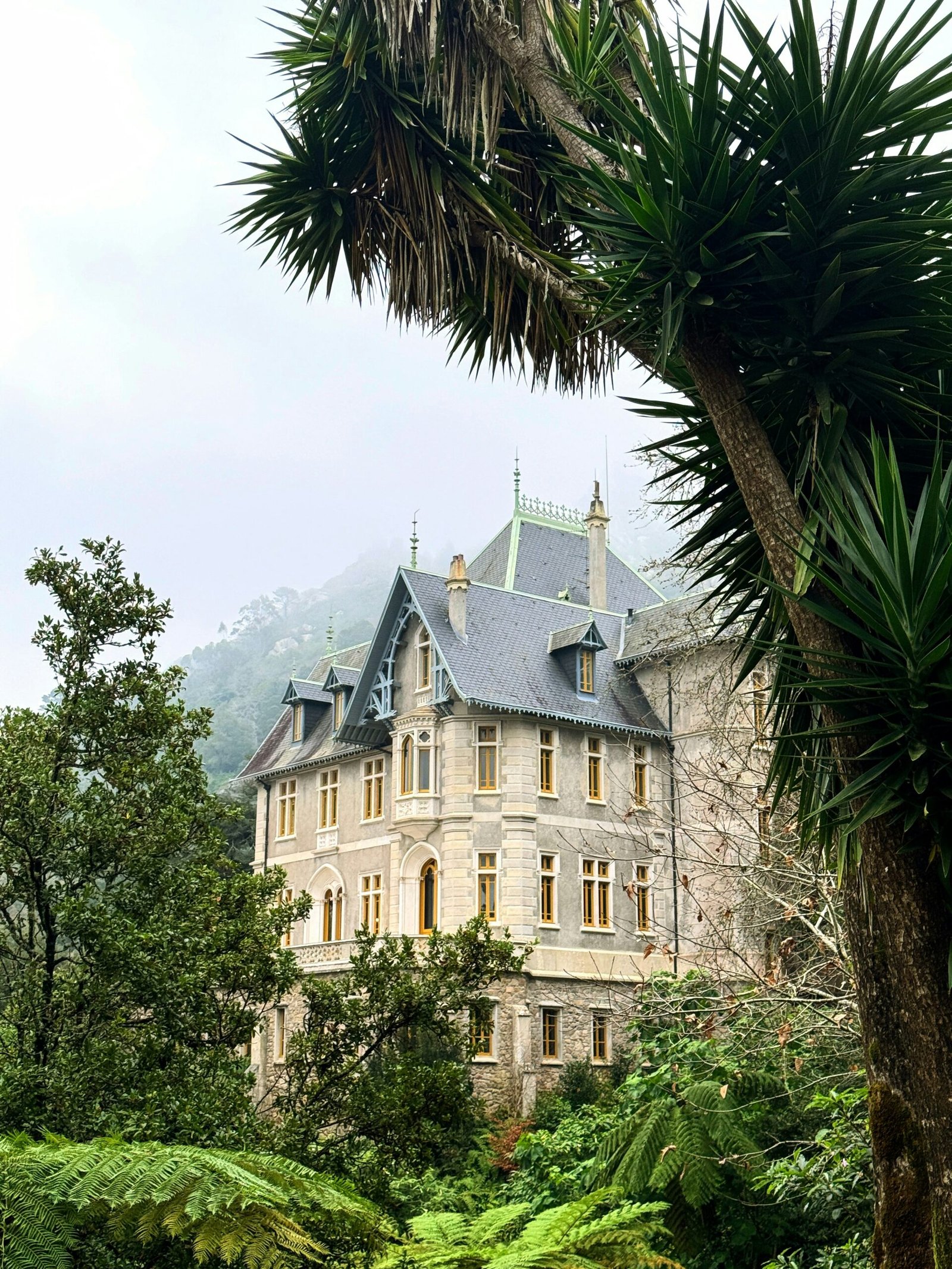 Palacio Biester con fachada de piedra y tejados de pizarra, rodeado de helechos y árboles entre la niebla de Sintra.
